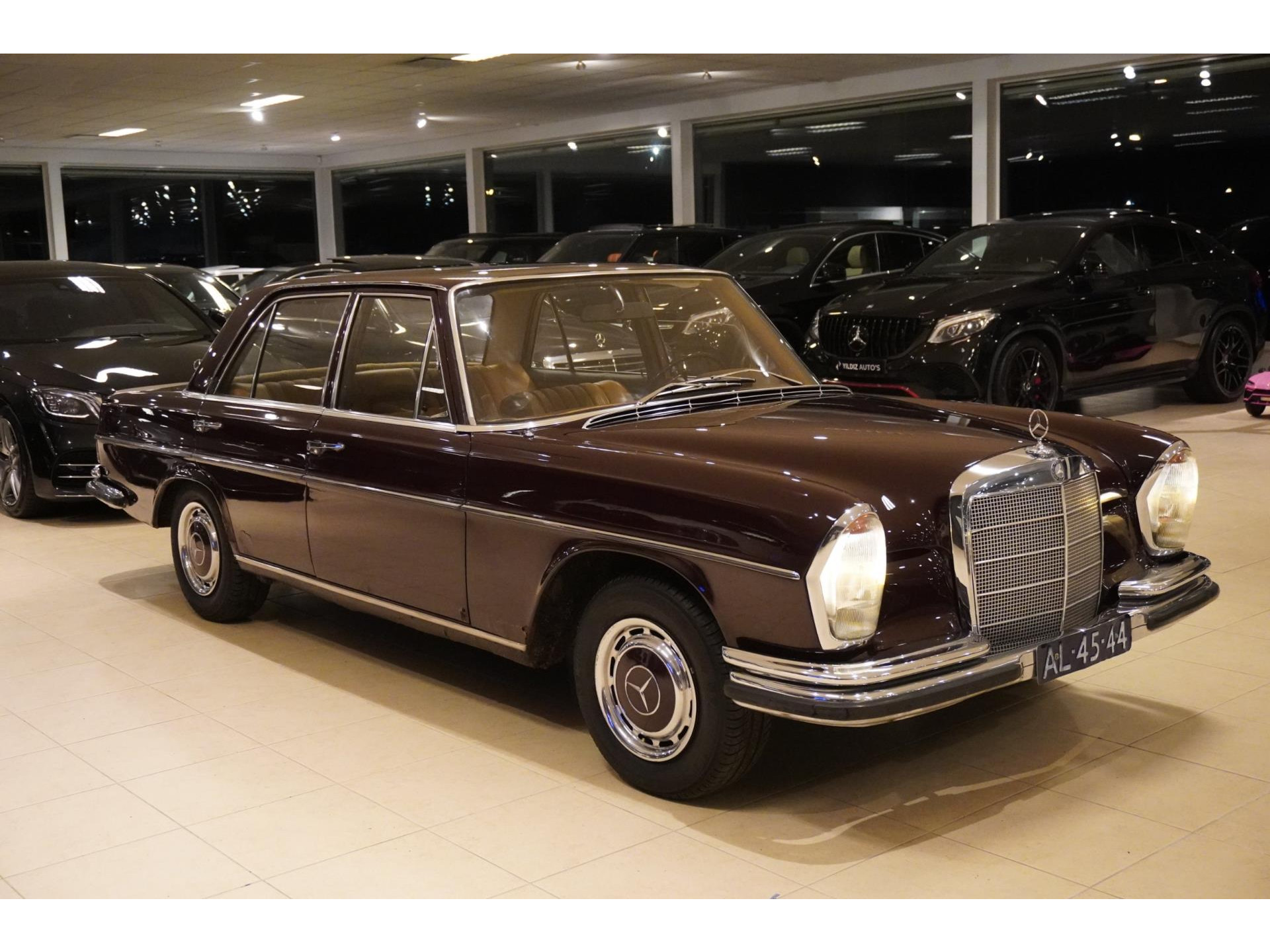41691523-6.jpg
