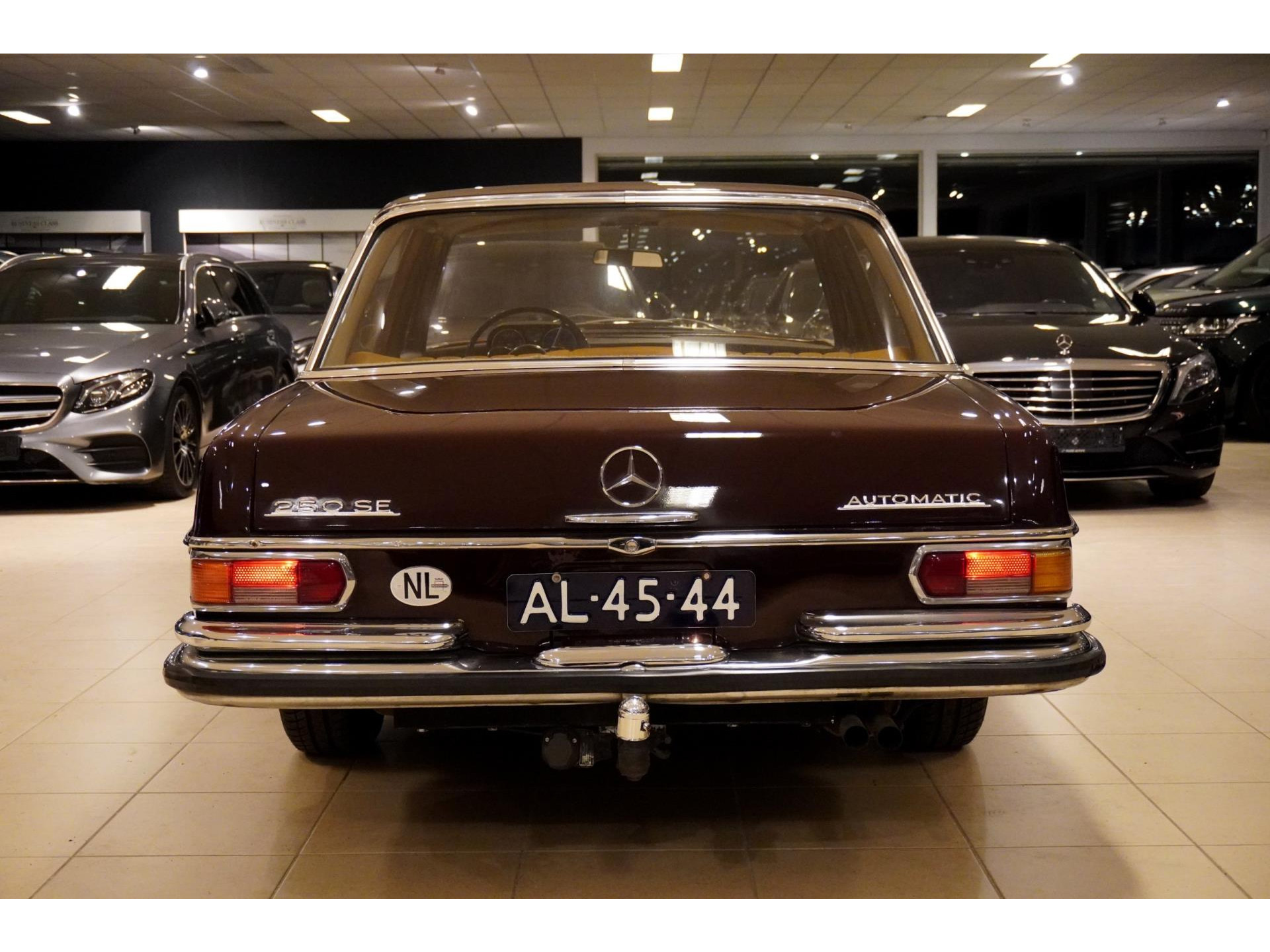 41691523-9.jpg